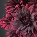 kimberlylovesart avatar