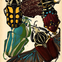 kimikaplowitz avatar