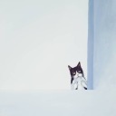 kimkimcanuck-blog avatar