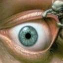 kimmiecupcakes avatar