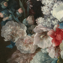 kimocu-inspirations avatar