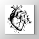 kimsesizlerinmatemiyim avatar