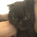 kimsesizligindebogulandeniiz avatar