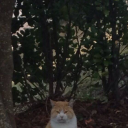 kinaco-calcium avatar