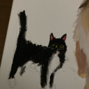 kindledoeswhatever avatar