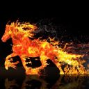 kindledshadowpoetry avatar