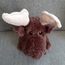 kindness-ricochets avatar