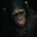 kindofblueeyes avatar