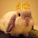 king-bun avatar