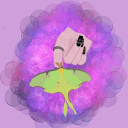 king-dragon-burn avatar