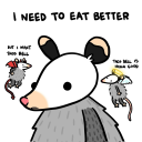 king-of-the-moths avatar