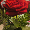 kingandchubbs avatar