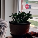 kingarthur1143 avatar