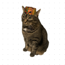 kingdevonsworld avatar