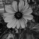 kingdom-ofsadness avatar