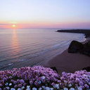 kingdomintheocean avatar