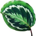 kingdomofheavensworld avatar