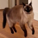 kingdomofthebread avatar