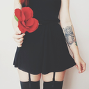 kingdomofthedragon-blog avatar