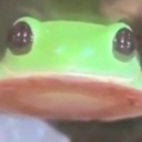 kingfrog-1215 avatar