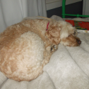 kinggggkuntaaaa avatar