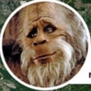 kingghidorahtheexplorer avatar