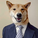 kingkaili-blog-blog avatar