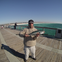 kingmackerel avatar