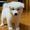 kingmary-blog avatar