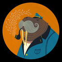 kingnoodlewalrus avatar