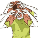 kingofbiscuits avatar