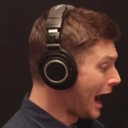 kingofthedaisies avatar