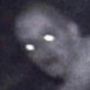 kingofwinter283 avatar