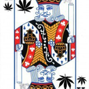 kingsofcannabis-blog avatar