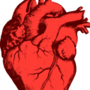 kingston-and-his-heart avatar