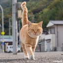 kinhongsworld avatar