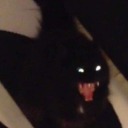 kinos-collection avatar