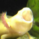 kinsthetic-for-u avatar