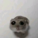 kira-eats-sand avatar