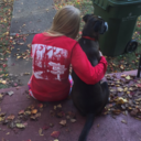 kirabohlke-blog avatar