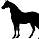 kiratheunicornyt avatar