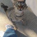 kirazlisigara avatar