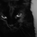 kirazzcicegikokusu avatar