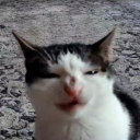 kirby-so-round avatar