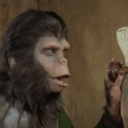 kirbyrightbackatya avatar