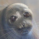 kirbysscockandballs avatar