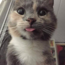 kirill-f-blog avatar