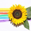 kirkisspocklocked avatar