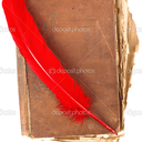 kirmizininkalemi avatar