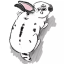 kirstensdraws avatar